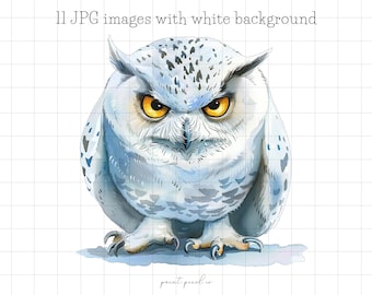 11 imágenes prediseñadas de búhos nivales extravagantes en formato JPG, divertidos y tontos pájaros polares en formato JPG, aves árticas caprichosas, tarjetas con frailecillos, manualidades con técnica mixta en formato JPG para uso comercial