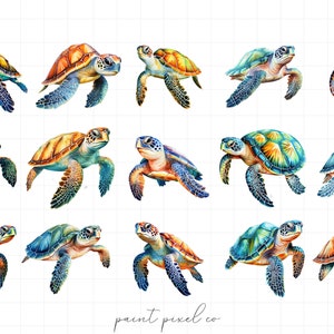 Sea Turtle PNG Clipart Watercolor Cute Nautical Animals Illustration ...