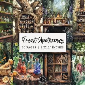 Könnte beinhalten: Aquarellillustration einer Waldapotheke mit Regalen voller Glasflaschen, einem Mörser und Stößel sowie einem Holzschrank voller Kräuter. Das Bild enthält den Text "Forest Apothecary" und "20 Seiten | 20,3cm x 30,5cm."