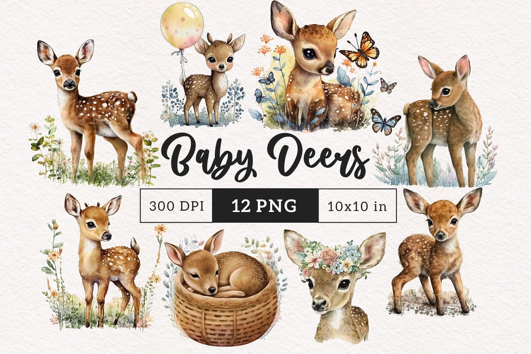 Woodland Animals PNG Watercolor Baby Deer Clipart Cute Baby Shower ...