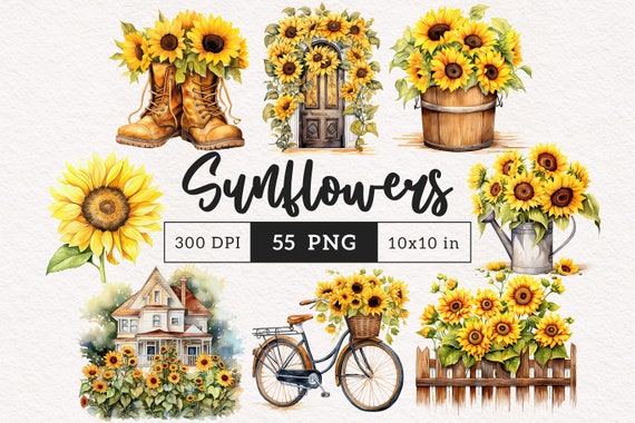 Sunflowers PNG clipart floral Clip art watercolor sunflower aesthetic Summer vintage Botanical art PNGs Sublimation Journaling Card making