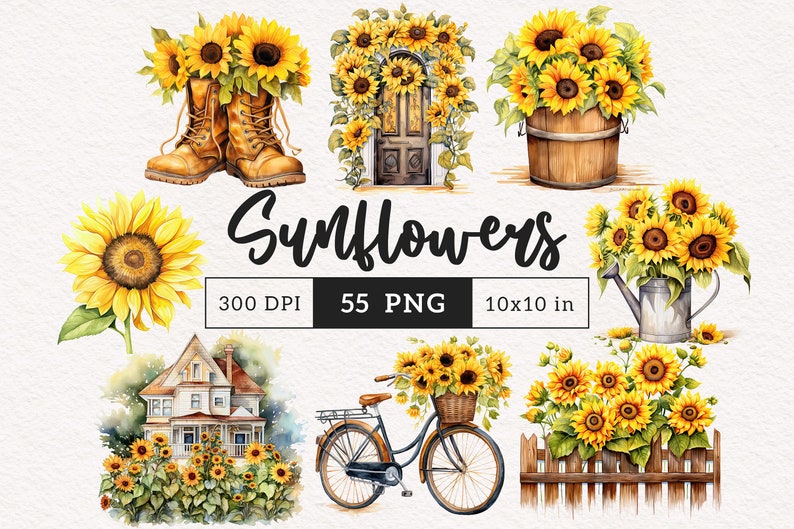 K&ouml;nnte beinhalten: Ein Set mit 55 Aquarell-Illustrationen von Sonnenblumen in verschiedenen Arrangements. Die Illustrationen beinhalten Sonnenblumen in einer Vase, einer Gie&szlig;kanne, einem Fahrradkorb und einem Paar Stiefeln. Die Illustrationen sind perfekt, um Ihren Designs einen Hauch von Sommer zu verleihen.