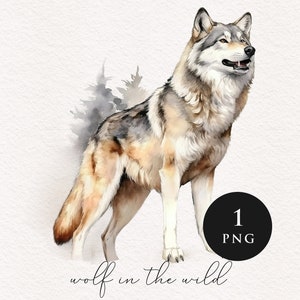 Wolf clipart PNG Bundle watercolor Sublimation transfer clip art majestic graphic illustrations wilderness woodland animals Wolf lover