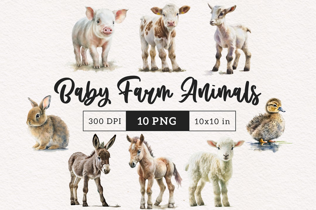 Farm Animals PNG Baby Animal Lamb PNG Baby Sheep Cute Animals Clipart ...