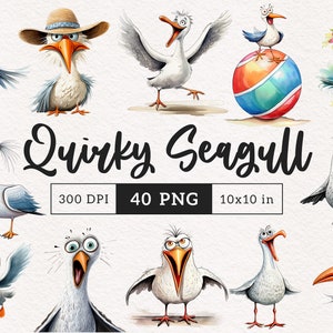 Lustige Möwe Clipart Schrullige Vogel PNG Sommer Strand Vögel PNG Grafiken Wunderliche Möwe Sublimation Lustige Dumme Wader Vogel Meer Illustration