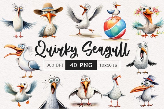 Funny Seagull Clipart Quirky Bird PNG Summer Beach Birds PNG graphics Whimsical Seagull Sublimation Funny Silly Wader Bird Sea illustration