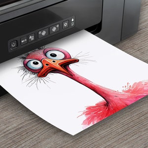 May include: A cartoon illustration of an ostrich with large eyes and a long neck. The ostrich is pink and has a red beak. The illustration is printed on a white sheet of paper coming out of a black printer.