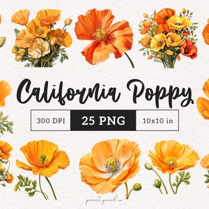 California Poppy clipart aquarel bloemen PNG schattig oranjegeel goud papaver sublimatie botanische Junk Journal Poppy illustratie DTF