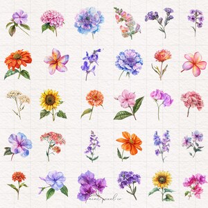 K&ouml;nnte beinhalten: Eine Sammlung von 40 Aquarell-Illustrationen verschiedener Blumen, darunter Sonnenblumen, Hortensien und Lilien. Die Blumen sind in verschiedenen Farben gemalt, darunter Pink, Lila, Blau, Gelb, Orange und Rot.