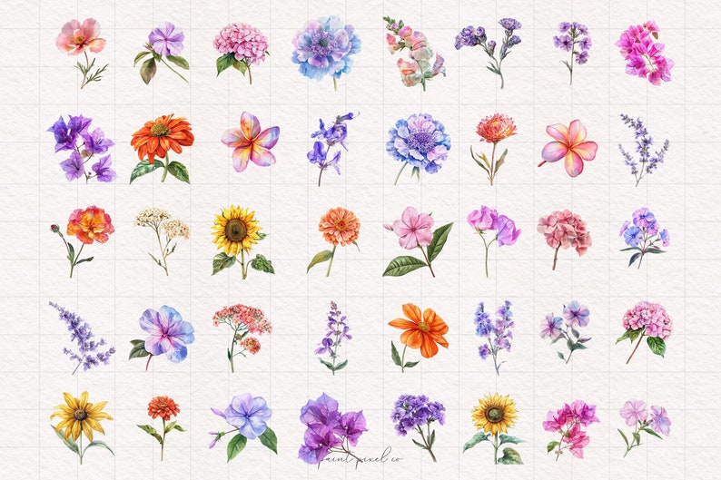 K&ouml;nnte beinhalten: Eine Sammlung von 40 Aquarell-Illustrationen verschiedener Blumen, darunter Sonnenblumen, Hortensien und Lilien. Die Blumen sind in verschiedenen Farben gemalt, darunter Pink, Lila, Blau, Gelb, Orange und Rot.