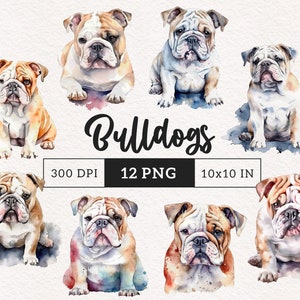 BullDog Clipart PNG Watercolor dog clip art Puppy PNG Pet Bull Dog Breed Sublimation card making scrapbook gift Free commercial use