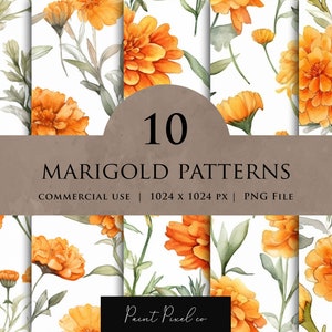May include: Ten digital marigold flower patterns in a white background. The patterns are seamless and can be used for commercial purposes. The patterns are 1024 x 1024 pixels and are in PNG format.