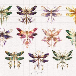 Whimsy Dragonfly PNG Watercolor Dragonflies Clipart Whimsical Insects ...