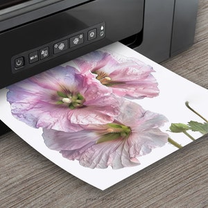 K&ouml;nnte beinhalten: Ein Drucker mit einem wei&szlig;en Blatt Papier, das aus ihm herauskommt. Das Papier zeigt ein Foto von drei rosa Bl&uuml;ten.
