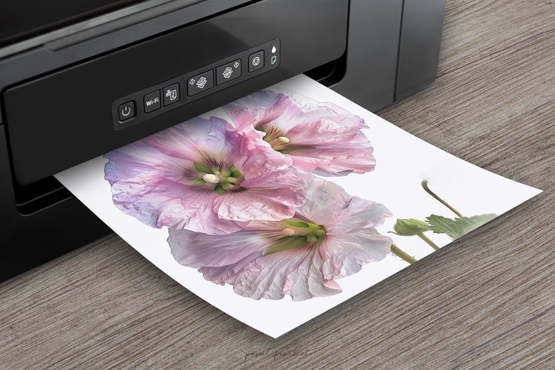 K&ouml;nnte beinhalten: Ein Drucker mit einem wei&szlig;en Blatt Papier, das aus ihm herauskommt. Das Papier zeigt ein Foto von drei rosa Bl&uuml;ten.