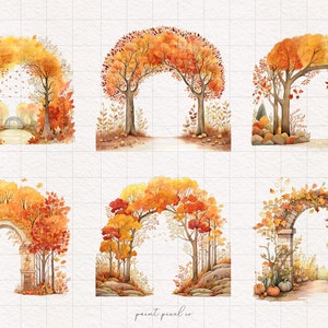 6 Herbst Bogen Clipart Boho Baum Bogen PNG Aquarell Herbst Grafiken Herbst Szene Floral Wald Saisonaler Herbstwald Bogen Torpassage