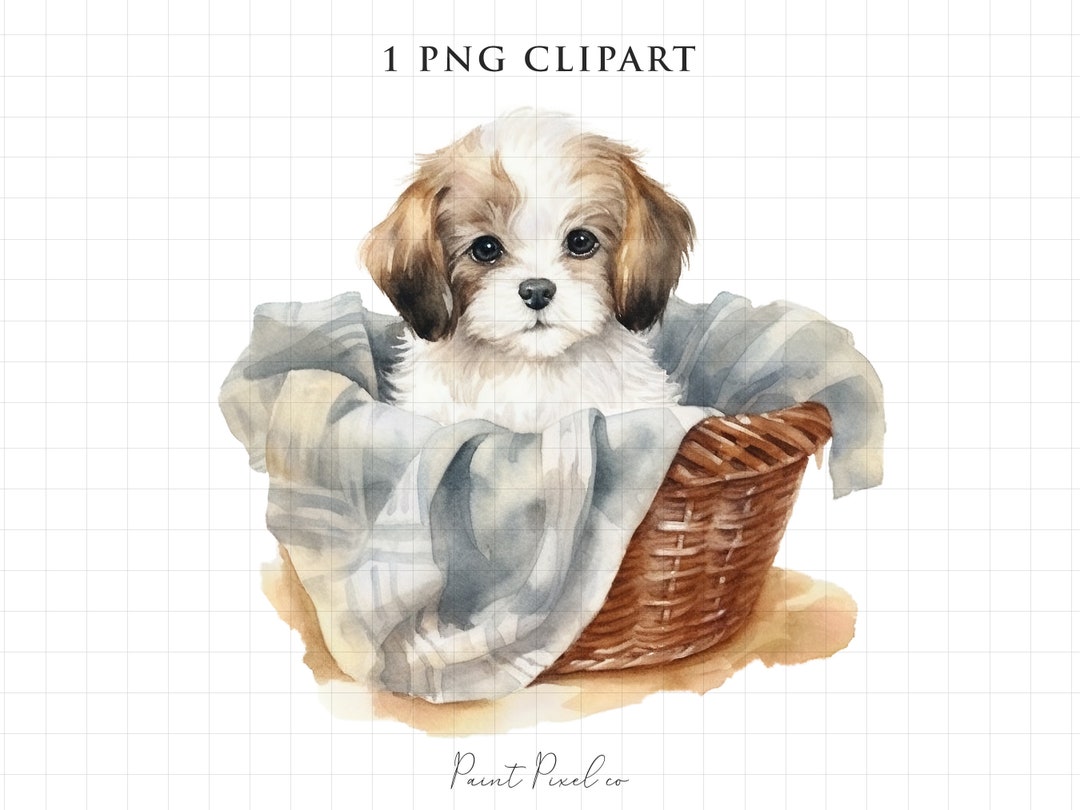 Watercolor Dog Clipart PNG Puppy Cute Clipart Sublimation Dog Card ...