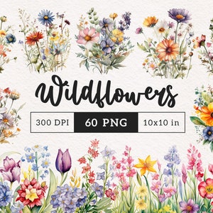 Clipart dzikich kwiatów PNG Akwarela łąka dzikich kwiatów Lato kwiatowa natura Ślub Bukiet dzikich kwiatów Clip art Dzikie kwiaty Obramowanie Ramka