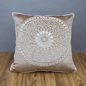 Light grey velvet Throw pillow Cover luxury Contemporary Modern pillow cover Hand Embroiderd Embellished custom Accent Personalised kgn.