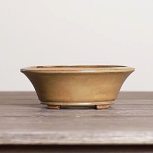 May include: A small, light brown bonsai pot with a rectangular shape and gently curved sides. The pot has a slightly flared rim and sits on three small feet. The overall design is simple and elegant, suitable for showcasing miniature trees.