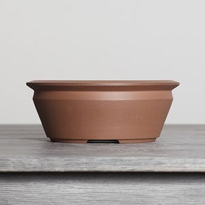 May include: A terracotta-colored ceramic bonsai pot with a wide, flat rim and a tapered, conical body. The vessel features a smooth, matte finish and a distinct angled shoulder design, providing a stable base for planting small trees.