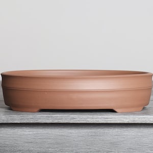 May include: A shallow, round terracotta bonsai pot with a smooth, matte finish and a wide, flat rim. The container features a simple, unadorned design with a slightly tapered base and small, integrated feet that elevate the vessel from the surface.