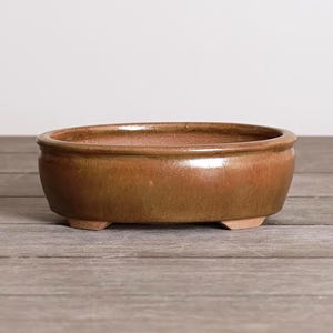 Oval Bonsai Pot 7 Inch Shohin Brown Glazed Stoneware