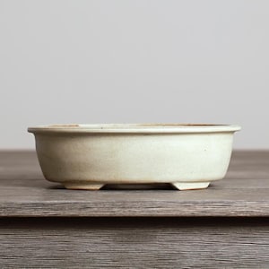 May include: A shallow, round ceramic bonsai pot with a matte, off-white finish. The vessel features a slightly flared rim, a smooth exterior surface, and small, integrated feet at the base, providing a stable foundation for plant cultivation.