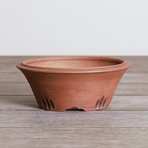 May include: A terracotta-colored bonsai pot with a wide, shallow design. The pot has a slightly flared shape with a rounded rim and several drainage holes on the sides. The pot is sitting on a wooden surface.