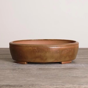 May include: A brown, oval-shaped ceramic bonsai pot with a slightly textured surface. The pot has a low profile and sits on three small feet. The interior has a lighter, reddish-brown hue. The pot is designed for planting small trees.