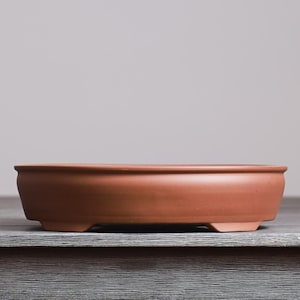 May include: A shallow, round terracotta bonsai pot with a smooth, matte finish and a wide, flat rim. The pot features a simple, unadorned exterior design with a slightly tapered base and small, integrated feet for elevation and stability.