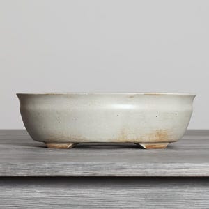 Oval Bonsai Pot 8 Inch Medium Rustic Ivory Glazed Stoneware
