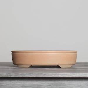 May include: A shallow, oval-shaped terracotta bonsai pot with a smooth, matte finish. The container features a slightly raised rim along the top edge and is supported by four small, integrated feet at the base, showcasing a natural light brown color.