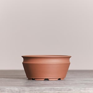 May include: A terracotta-colored ceramic bonsai pot with a wide, circular opening and a tapered body. The vessel features a smooth, matte finish, a distinct horizontal ridge near the rim, and a sturdy base with small feet for drainage and stability.