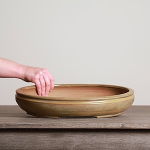 May include: A large, oval-shaped ceramic bonsai pot with a light brown glaze. The pot has a wide rim and a shallow depth, suitable for planting small trees. The pot is sitting on a wooden surface.