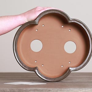 May include: A brown ceramic bonsai pot with a unique, four-lobed shape and a dark gray rim. The pot has two large drainage holes and several smaller ones. The pot is designed for bonsai trees.