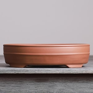 May include: A shallow, round terracotta bonsai pot with a matte, earthy reddish-brown finish. The vessel features a smooth, slightly raised horizontal band around the exterior wall and rests on four small, integrated feet at the base.