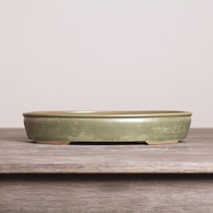 May include: A shallow, oval-shaped ceramic bonsai pot with a muted sage green glaze. The exterior surface features subtle variations in color and texture, with a smooth, rounded rim and a slightly raised base that reveals a hint of unglazed clay.