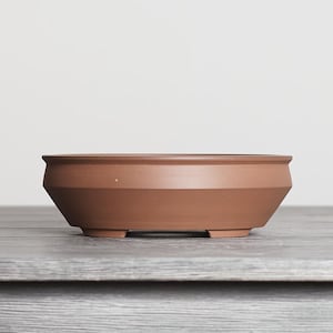 May include: A low-profile, terracotta-colored ceramic bonsai pot with a wide, circular opening and a distinct angled side profile. The vessel features a smooth, matte finish and is supported by small, integrated feet at the base.
