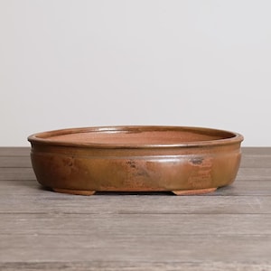May include: A brown, oval-shaped ceramic bonsai pot with a slightly glossy finish. The pot has a low profile with a rounded rim and small feet. The color is a warm, earthy tone, suitable for displaying small plants.
