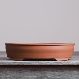 May include: A shallow, round terracotta bonsai pot with a smooth, matte finish and a wide, open top. The container features a slightly curved exterior wall and a flat base with small, integrated feet that elevate it slightly from the surface.