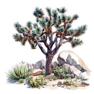 Ensemble de 10 cliparts arbre de Josué peinture aquarelle numérique Dessert plante Illustration cactus yucca arbre Clip Art Bundle déco botanique rustique