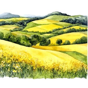 10 colza champ paysage Clipart ensemble aquarelle numérique fleurs jaunes graphique Roling Hills Illustration forêt verte Clip Art