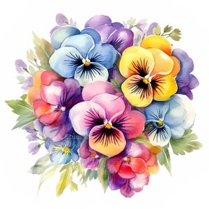 Ensemble de 10 cliparts fleur de pensée Bouquet aquarelle Design floral numérique Fournitures créatives Images de scrapbooking Images clipart botanique imprimables