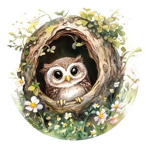 10 mignon petit hibou arbre trou Clipart ensemble peinture aquarelle numérique Illustration d'animaux de la forêt duveteux oiseau graphiques forêt vie Clip Art