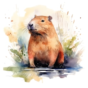 Conjunto de 10 imágenes prediseñadas de capibara, pintura digital con acuarela, ilustración de animales adorables, paquete de imágenes prediseñadas de naturaleza, escena de bosque de vida silvestre