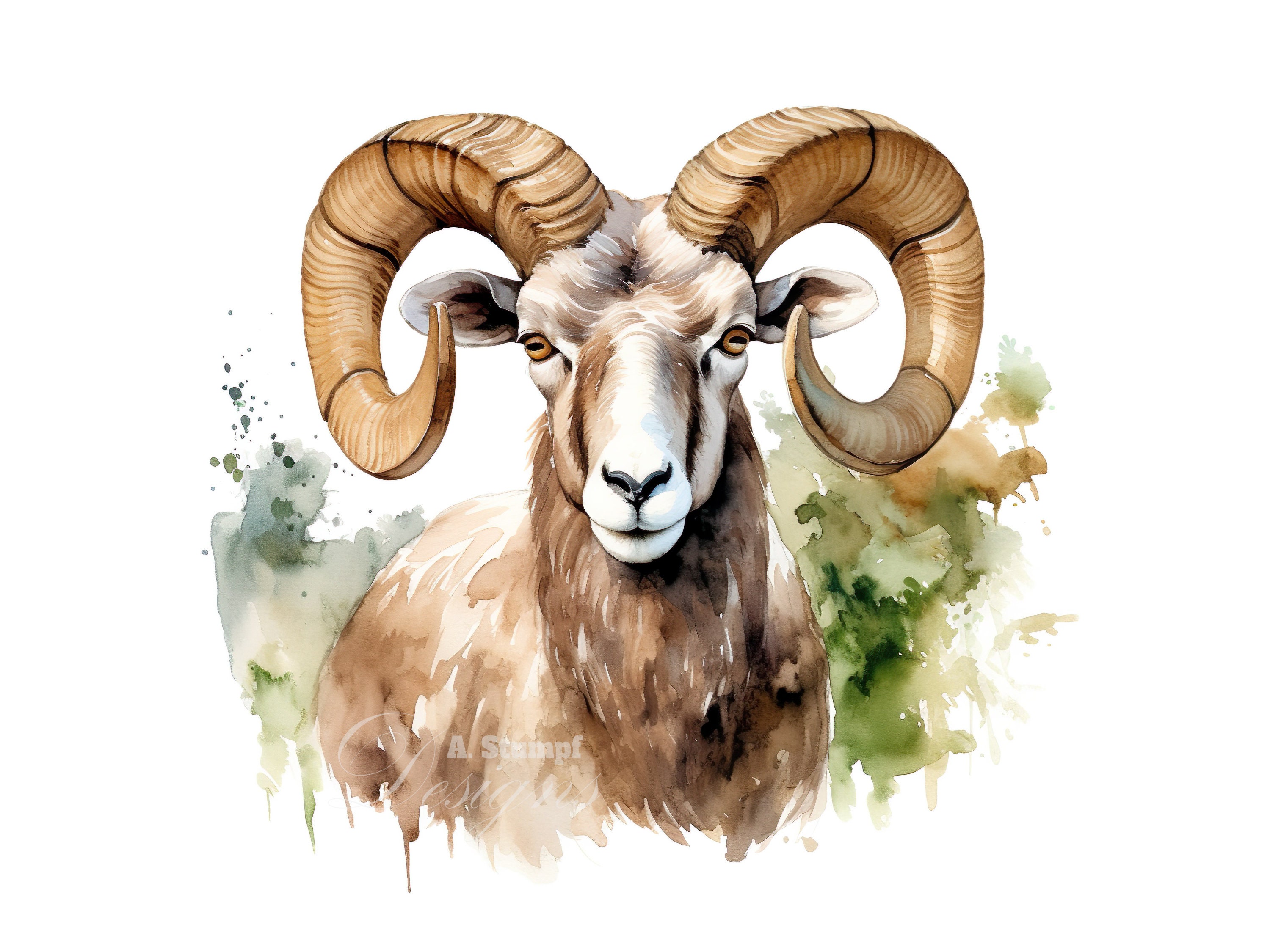 Ram Clipart Set 10 Watercolor Images Digital Download Digital ...