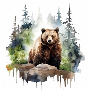 Conjunto de 10 imágenes prediseñadas de osos, pintura digital de mamíferos con acuarela, ilustración de animales del bosque, gráficos de vida silvestre del bosque, paquete de imágenes prediseñadas de depredadores salvajes