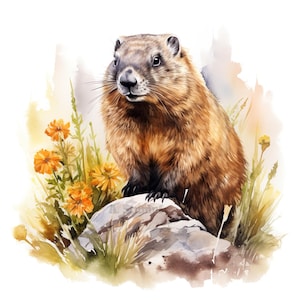 10 lindos conjuntos de imágenes prediseñadas de marmotas, ilustraciones de animales para pintar con acuarela digital, álbumes de recortes, diarios basura, fabricación de tarjetas, manualidades, arte de pared, impresión