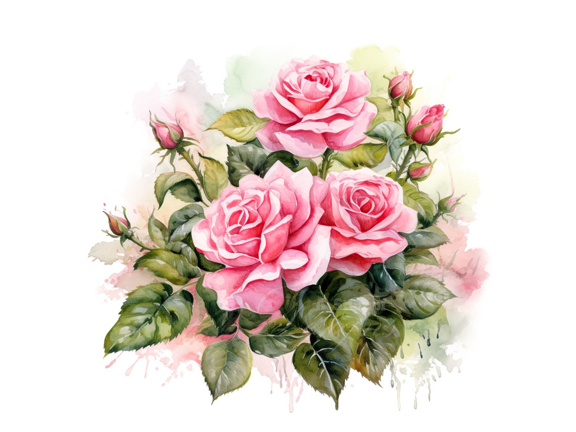 Pink Roses Clipart Set, Digital Watercolor Floral Art, Flower Graphic ...